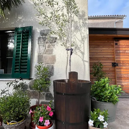 דירה Rozalka Vipava Valley *